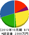 若山電気商会 貸借対照表 2012年10月期