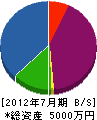 錦テクノサービス 貸借対照表 2012年7月期
