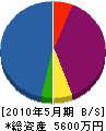 山武 貸借対照表 2010年5月期