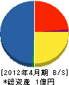 松尾電工 貸借対照表 2012年4月期