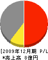東京コーポレーション 損益計算書 2009年12月期