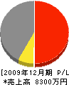 柴田組 損益計算書 2009年12月期