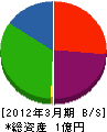 テーエス斉藤建設 貸借対照表 2012年3月期