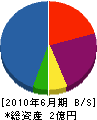 藤原電工 貸借対照表 2010年6月期