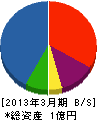 ワールドテクノ九州 貸借対照表 2013年3月期