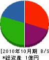 廣瀬興業 貸借対照表 2010年10月期