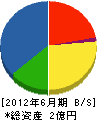 九州緑化施設 貸借対照表 2012年6月期