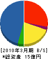 横浜ゴムＭＢＴ 貸借対照表 2010年3月期
