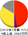 飯島ポンプ製作所 損益計算書 2012年7月期