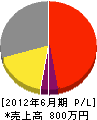 小和田建設 損益計算書 2012年6月期