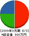 関塚造園土木 貸借対照表 2009年9月期