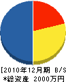 山本でんき 貸借対照表 2010年12月期