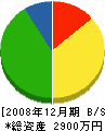 齊藤畳店 貸借対照表 2008年12月期
