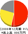 渡辺植光園 損益計算書 2008年12月期