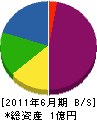 ミヅケン 貸借対照表 2011年6月期