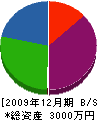 前田電気 貸借対照表 2009年12月期
