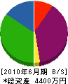 宝山工業 貸借対照表 2010年6月期