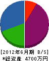 青山組 貸借対照表 2012年6月期