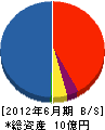 松丸工業 貸借対照表 2012年6月期