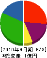 長谷川組 貸借対照表 2010年9月期