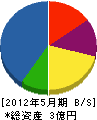 渡邊建材 貸借対照表 2012年5月期