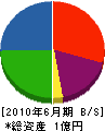 東亜電建工業 貸借対照表 2010年6月期