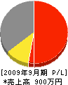 Ｓ・Ｔ開発 損益計算書 2009年9月期