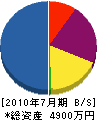 相川工務店 貸借対照表 2010年7月期