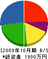 山口電気商会 貸借対照表 2009年10月期
