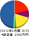 永田建設 貸借対照表 2012年6月期