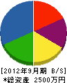 大塚組 貸借対照表 2012年9月期