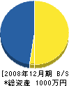 辻本組 貸借対照表 2008年12月期
