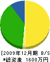 坂下工務店 貸借対照表 2009年12月期