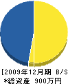 辻本組 貸借対照表 2009年12月期