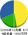 寺崎建材 貸借対照表 2009年12月期
