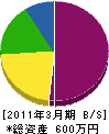 涌井建業 貸借対照表 2011年3月期
