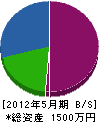 竹中電気商会 貸借対照表 2012年5月期