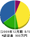 平井工務店 貸借対照表 2009年12月期