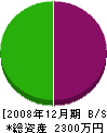 串本建設 貸借対照表 2008年12月期