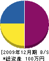 武田建設 貸借対照表 2009年12月期