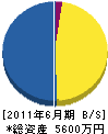 椿本電気商会 貸借対照表 2011年6月期