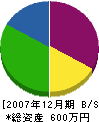 岩本塗装店 貸借対照表 2007年12月期
