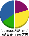 智栄水道 貸借対照表 2010年6月期