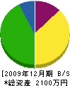 谷川工務所 貸借対照表 2009年12月期