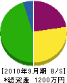 ハイテック渡辺電工 貸借対照表 2010年9月期
