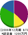 桧垣電機商会 貸借対照表 2008年12月期