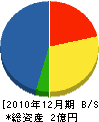 山本塗装店 貸借対照表 2010年12月期