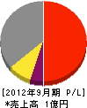 総合建設業タムラ 損益計算書 2012年9月期