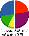 広田造園 貸借対照表 2012年7月期