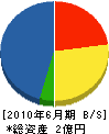 竹内建設 貸借対照表 2010年6月期